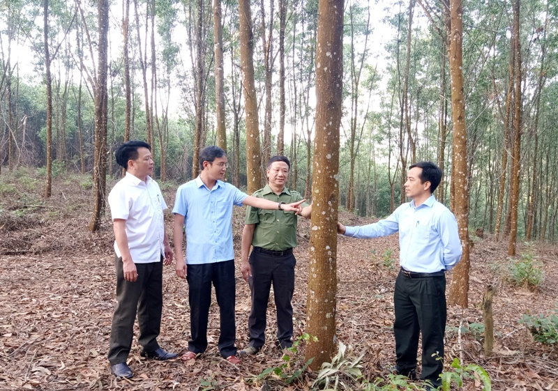 Kiểm tra công tác PCCCR mùa khô tại BQL rừng phòng hộ Sơn Động