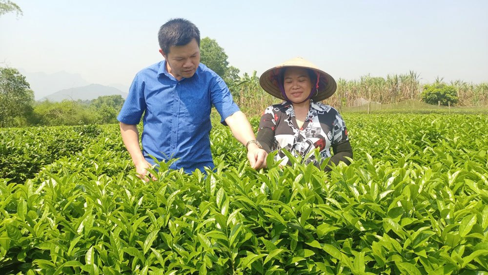 Bắc Giang có 4 sản phẩm lọt Top 100 món ăn đặc sản, đặc sản quà tặng Việt Nam