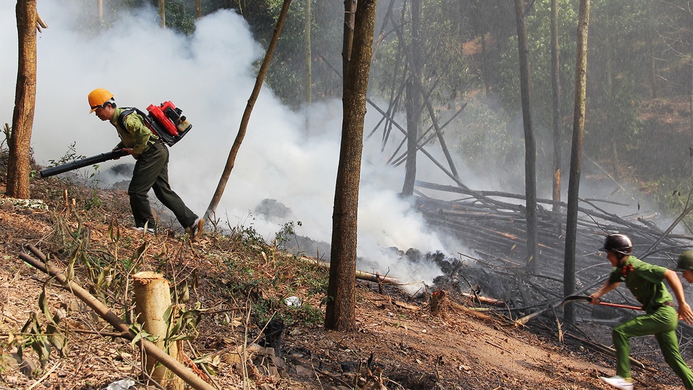 Chủ tịch UBND tỉnh yêu cầu các đơn vị, địa phương triển khai các biện pháp cấp bách phòng cháy, chữa cháy rừng