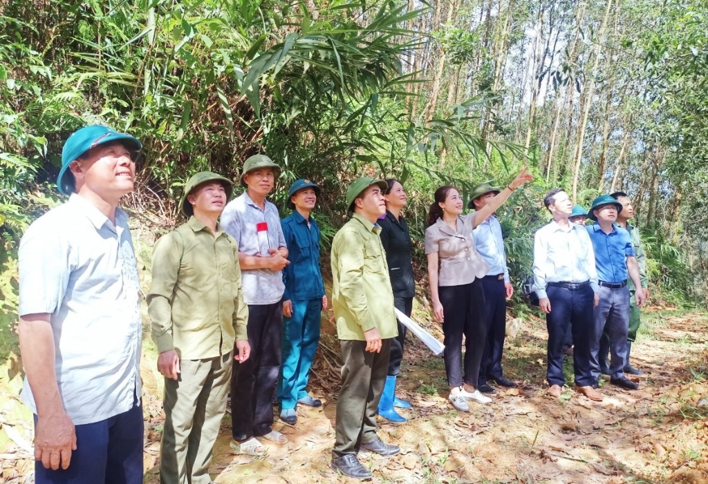 Sơn Động: Thiết lập hồ sơ quản lý 920 lô rừng