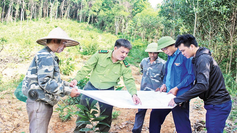 Sơn Động thiết lập hồ sơ hiện trạng rừng giáp ranh: Rõ mốc giới để bảo vệ rừng