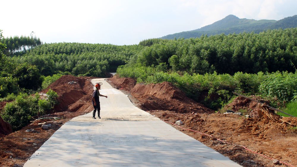 Bắc Giang: Chuyển 11,39 ha rừng thực hiện 6 dự án đầu tư