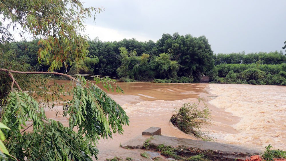 Mưa lớn, một số khu vực ở huyện Sơn Động bị ngập cục bộ, sơ tán 20 hộ dân