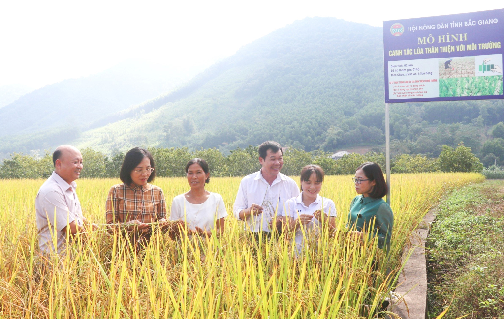 Hội thảo canh tác lúa thân thiện với môi trường