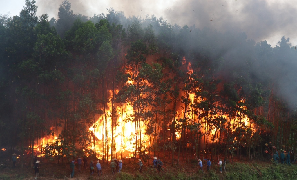 Sơn Động diễn tập phòng cháy, chữa cháy rừng