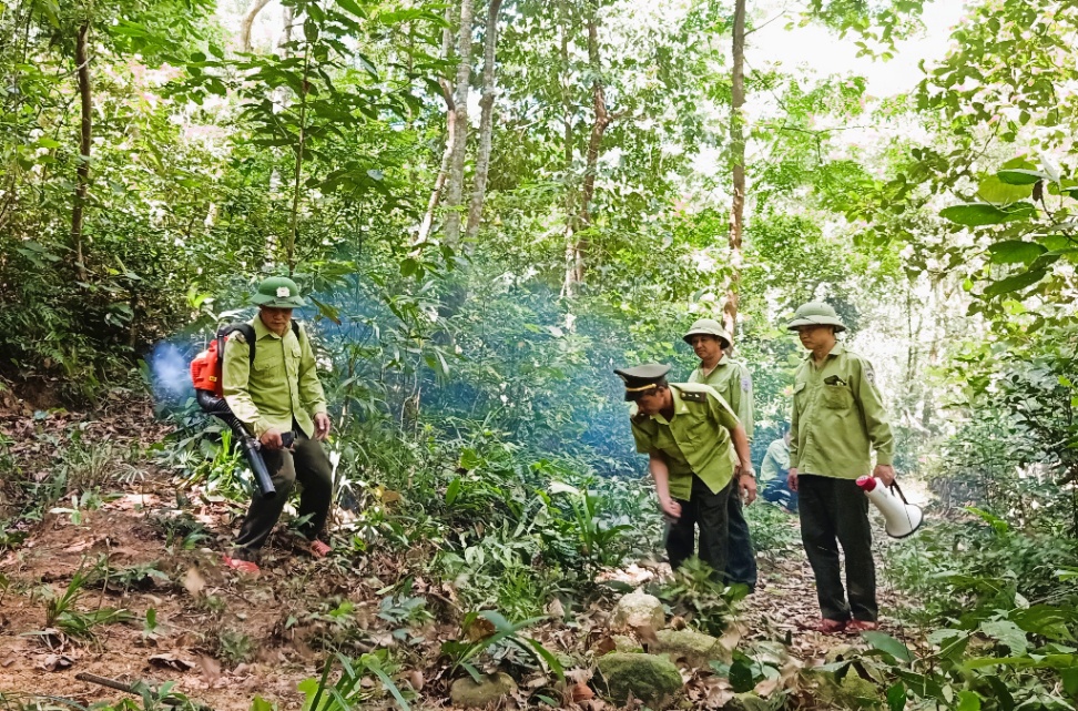 Tăng cường quản lý bảo vệ rừng và PCCCR trước, trong và sau Tết Nguyên đán Giáp Thìn và Lễ hội Xuân năm 2024