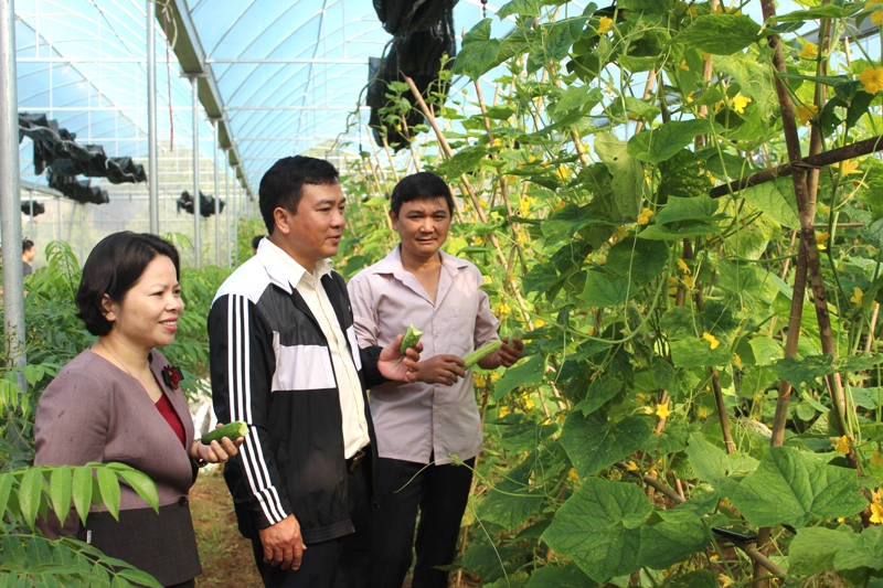Phó Chủ tịch UBND huyện Hoàng Văn Trọng, thăm mô hình sản xuất nông nghiệp ứng dụng công nghệ cao