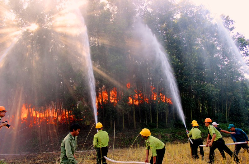 Sơn Động diễn tập phòng cháy chữa cháy rừng