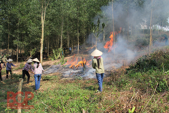 Bắc Giang tăng cường các biện pháp bảo vệ rừng