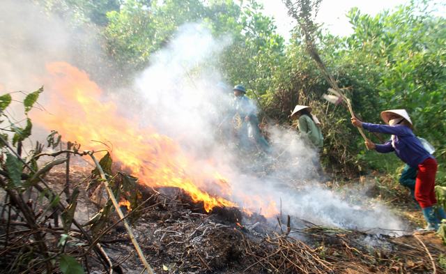 Sơn Động: Diễn tập phòng cháy, chữa cháy rừng năm 2014