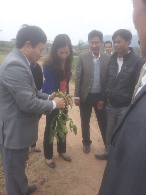 Chung tay xây dựng nông thông mới trên địa bàn xã Tuấn Đạo - Huyện Sơn Động - Tỉnh Bắc Giang