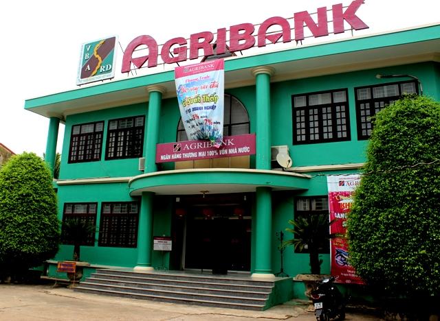 Chi nhánh Ngân hàng Nông nghiệp và Phát triển nông thôn huyện Sơn Động.